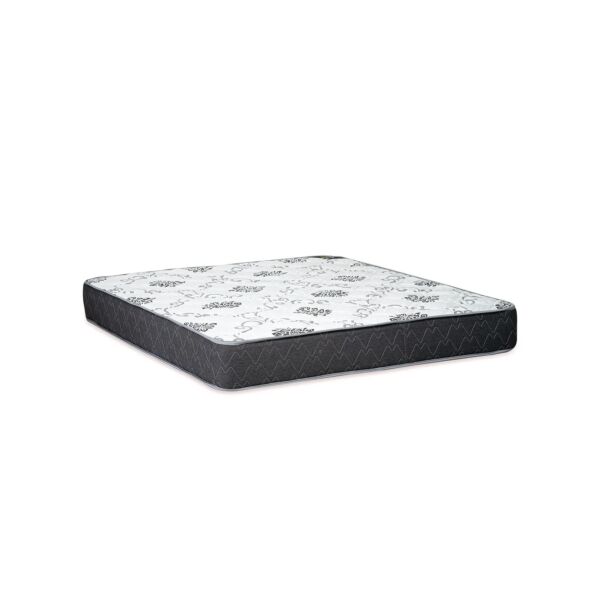 baytonia_main product photo