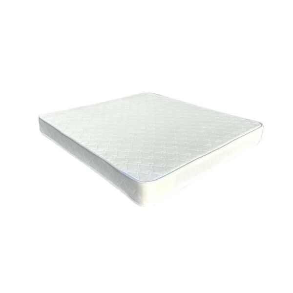 baytonia_main product photo