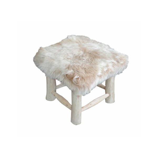 baytonia_main product photo