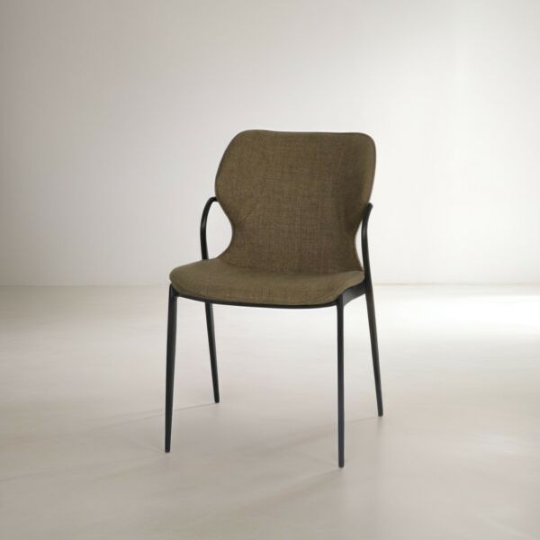 baytonia_main product photo