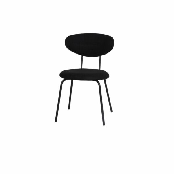 baytonia_main product photo