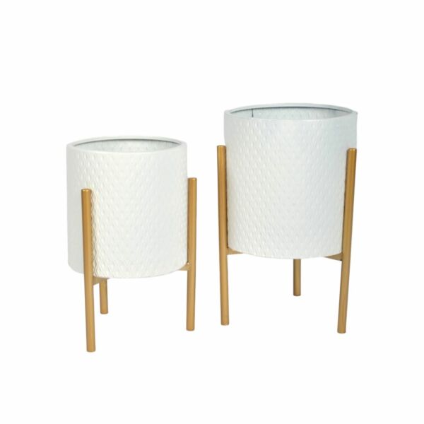 baytonia_main product photo