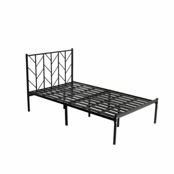 baytonia_main product photo