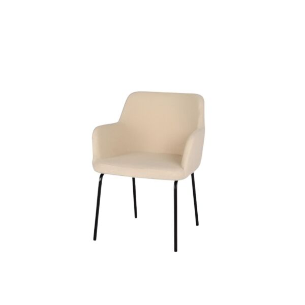 baytonia_main product photo