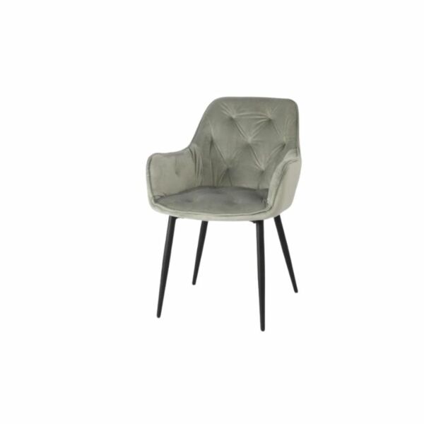 baytonia_main product photo