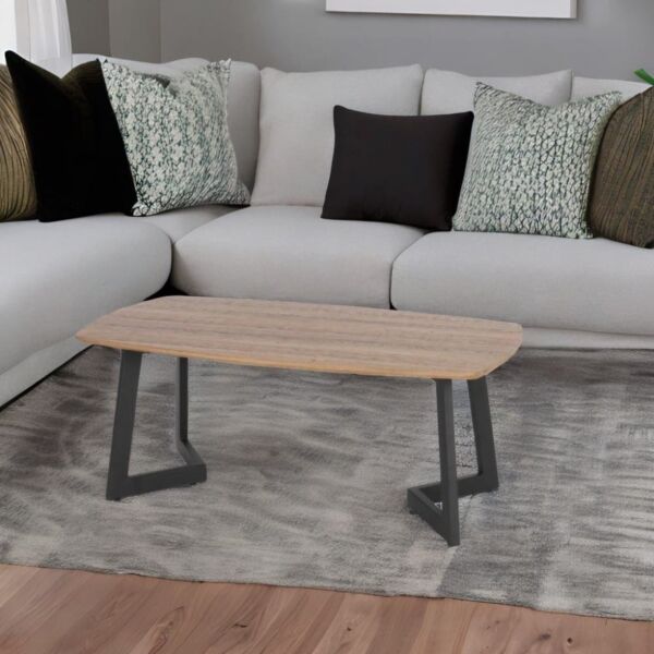 baytonia_main product photo