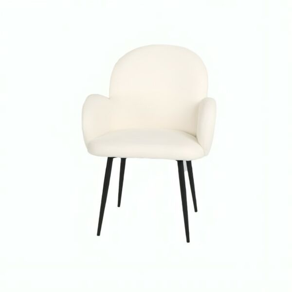 baytonia_main product photo