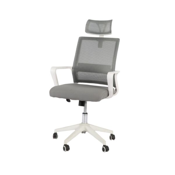 baytonia_main product photo