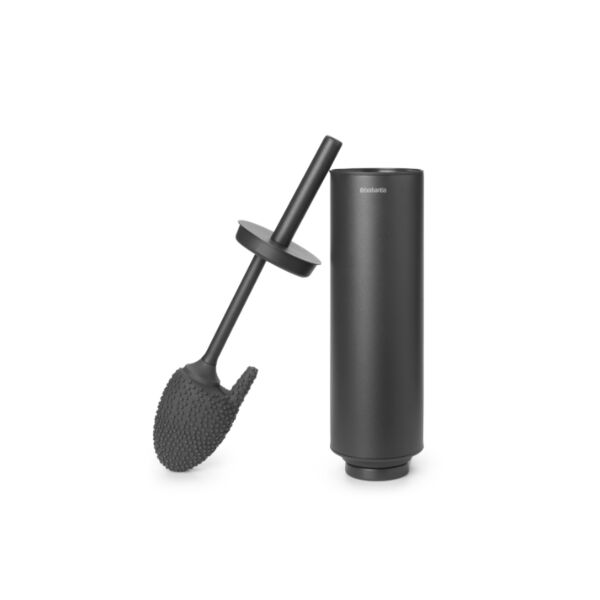 baytonia_main product photo