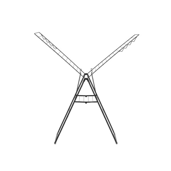 baytonia_main product photo