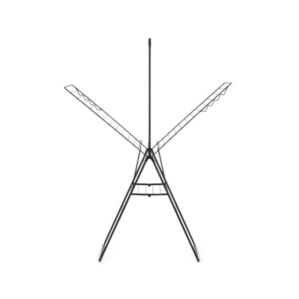 baytonia_main product photo