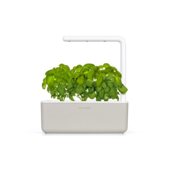 baytonia_main product photo