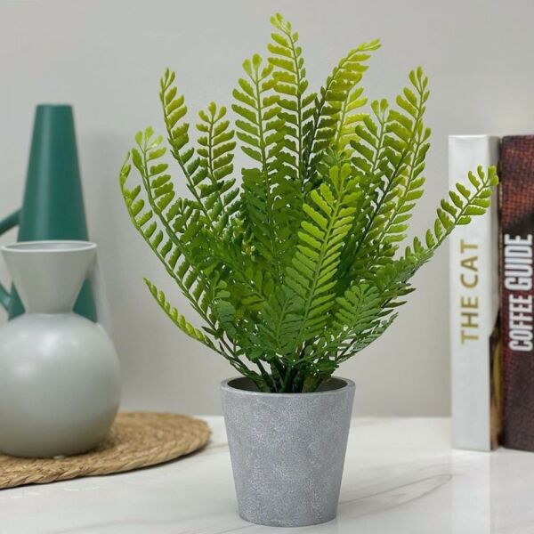 baytonia_main product photo