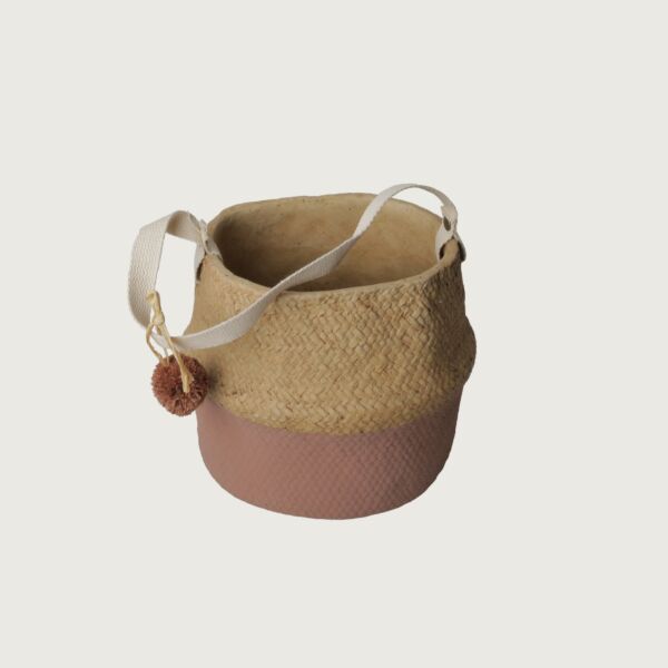 baytonia_main product photo