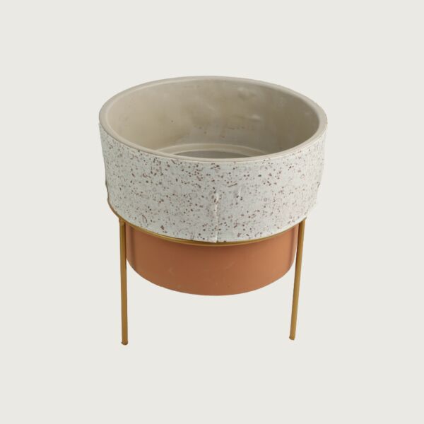 baytonia_main product photo