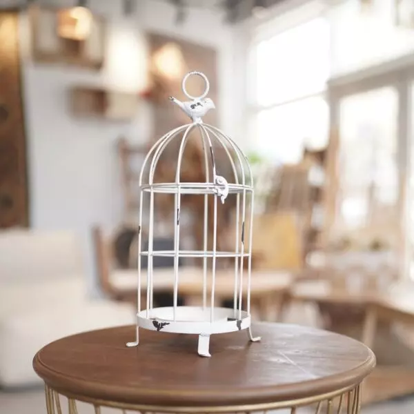 baytonia_gallery_image