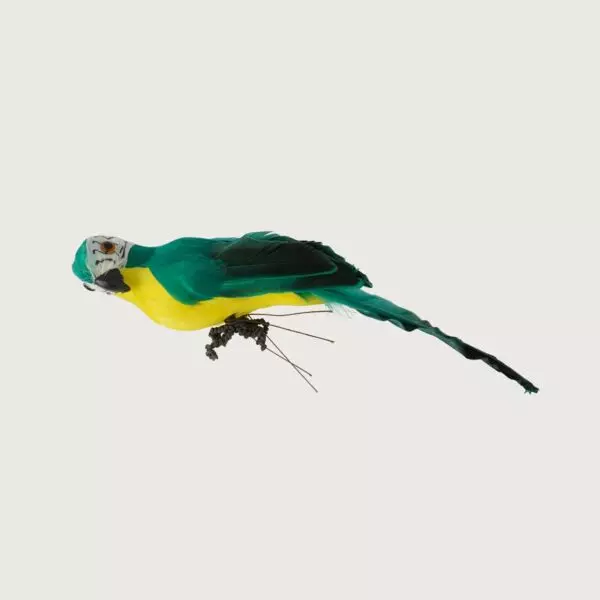 baytonia_gallery_image