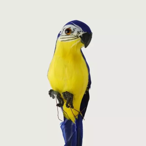 baytonia_gallery_image