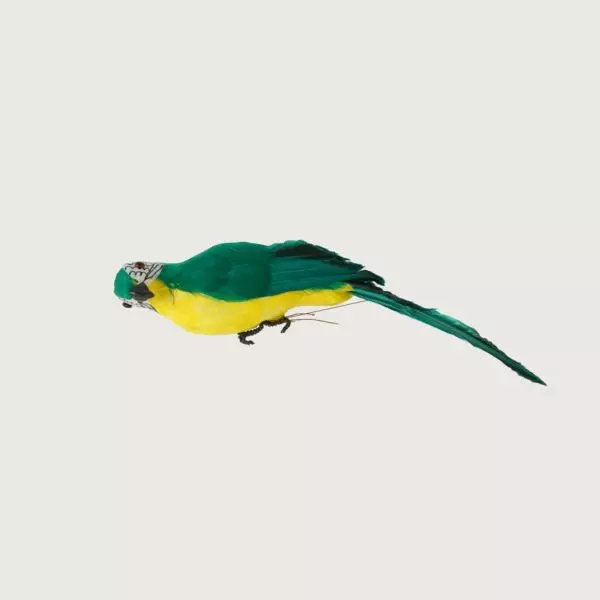 baytonia_gallery_image