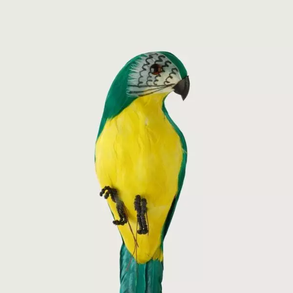 baytonia_gallery_image