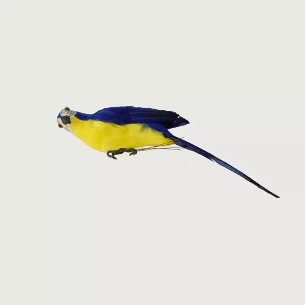 baytonia_gallery_image