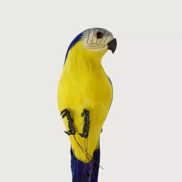 baytonia_gallery_image