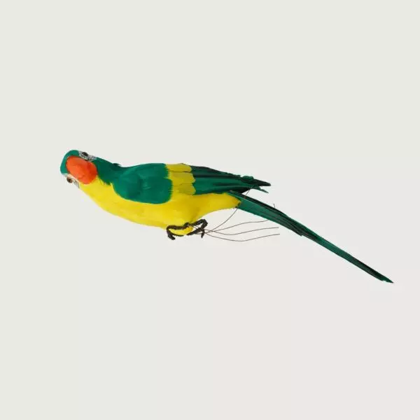 baytonia_gallery_image