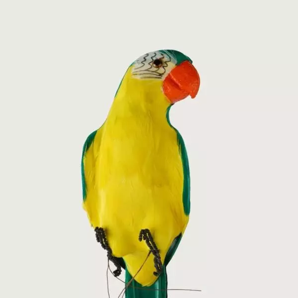 baytonia_gallery_image