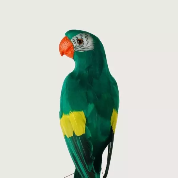 baytonia_gallery_image