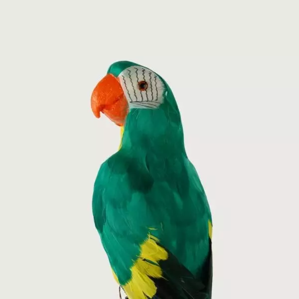 baytonia_gallery_image