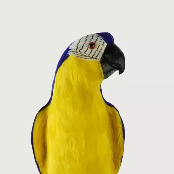 baytonia_gallery_image