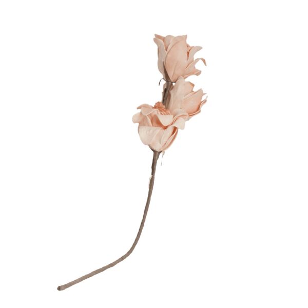 baytonia_main product photo