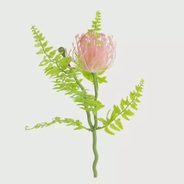 baytonia_gallery_image