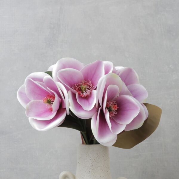 baytonia_main product photo