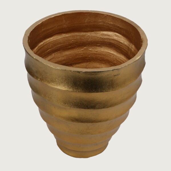 baytonia_main product photo