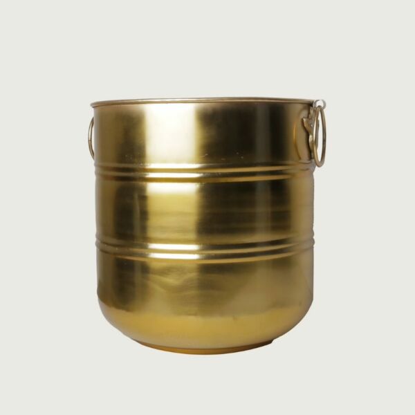 baytonia_main product photo