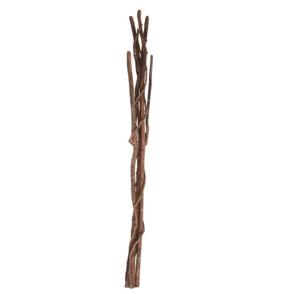 baytonia_main product photo