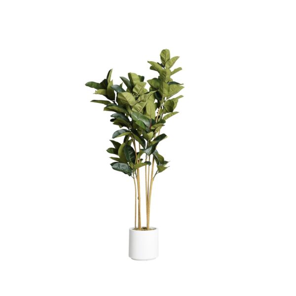 baytonia_main product photo
