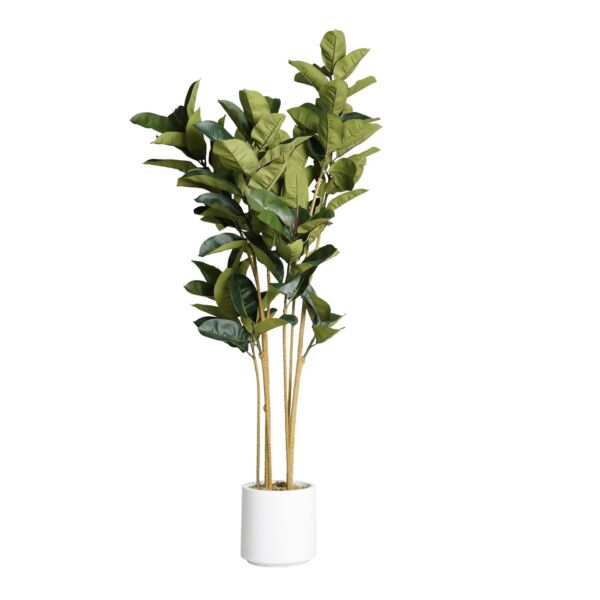 baytonia_main product photo