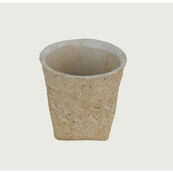 baytonia_main product photo