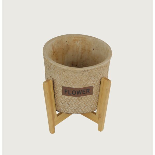 baytonia_main product photo