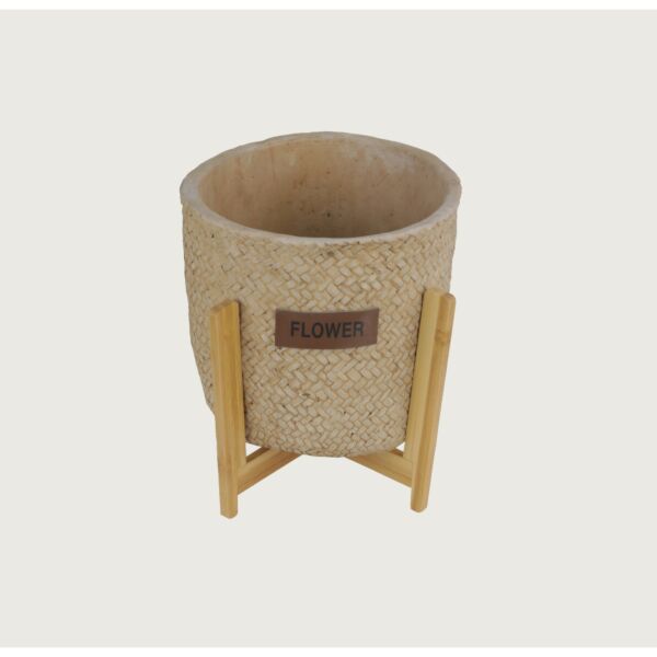 baytonia_main product photo