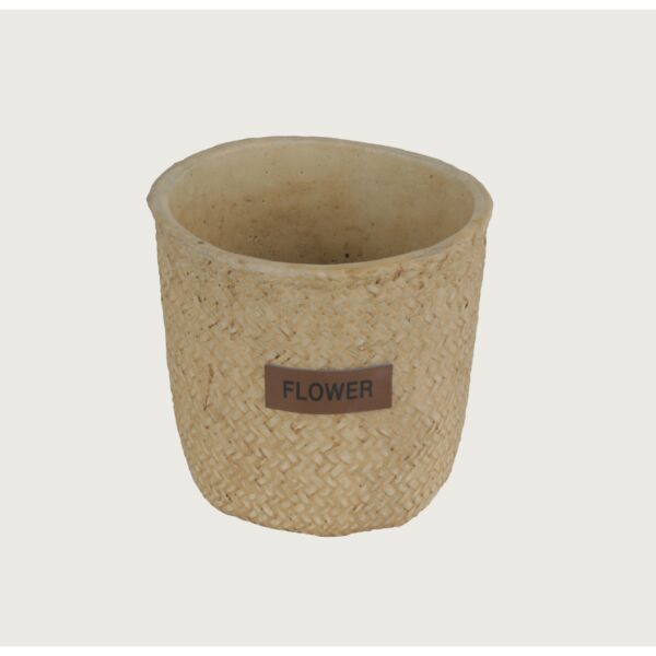 baytonia_main product photo