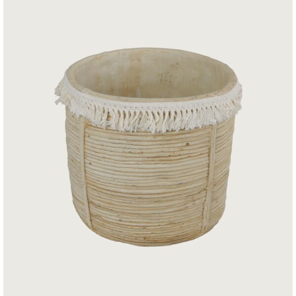 baytonia_main product photo
