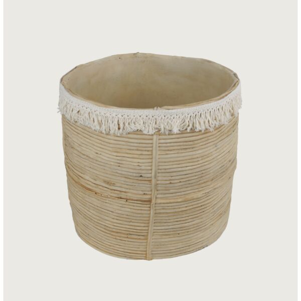 baytonia_main product photo