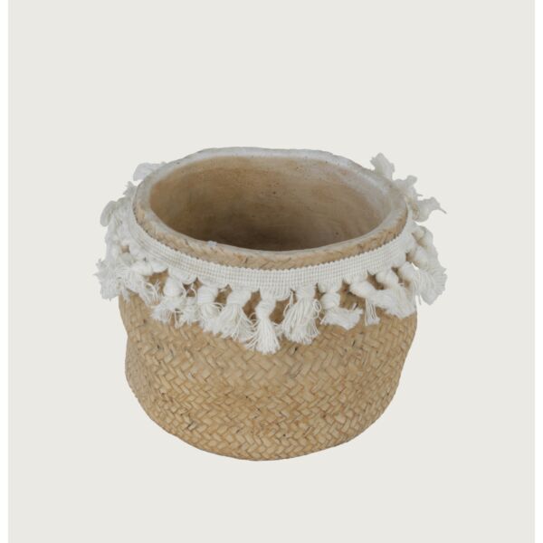 baytonia_main product photo