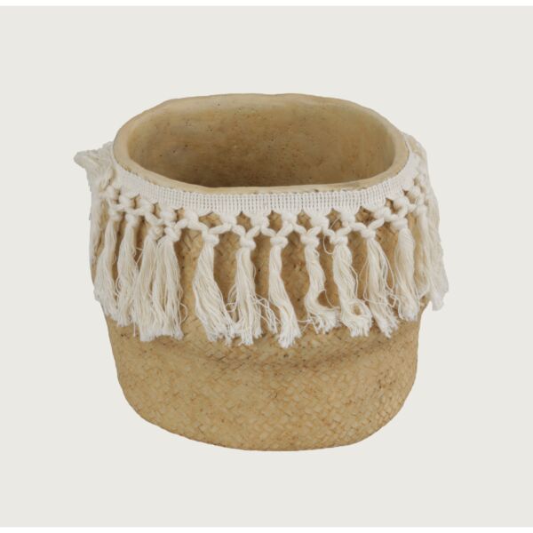 baytonia_main product photo