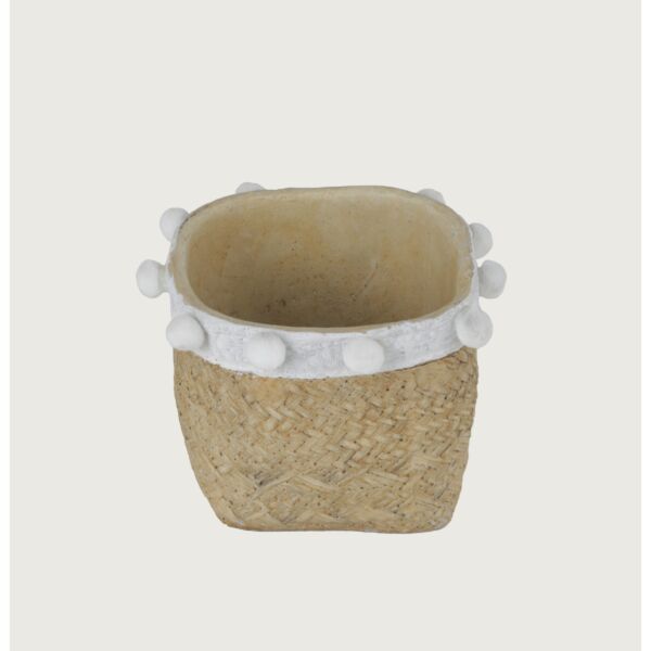 baytonia_main product photo