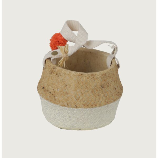 baytonia_main product photo
