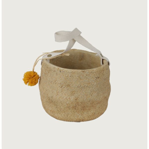 baytonia_main product photo
